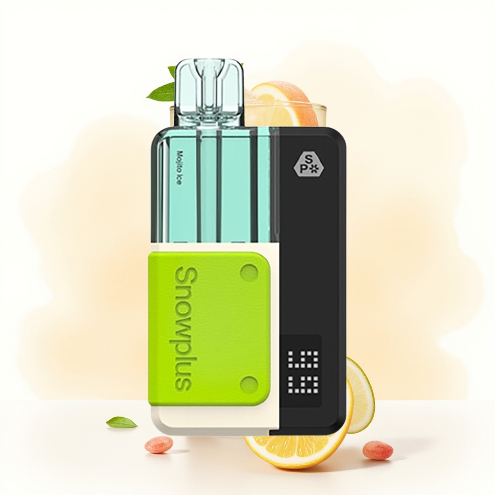 Wholesale Poland Snowplus Swift 5000 Puffs 1000 mAh Mojito Lód
