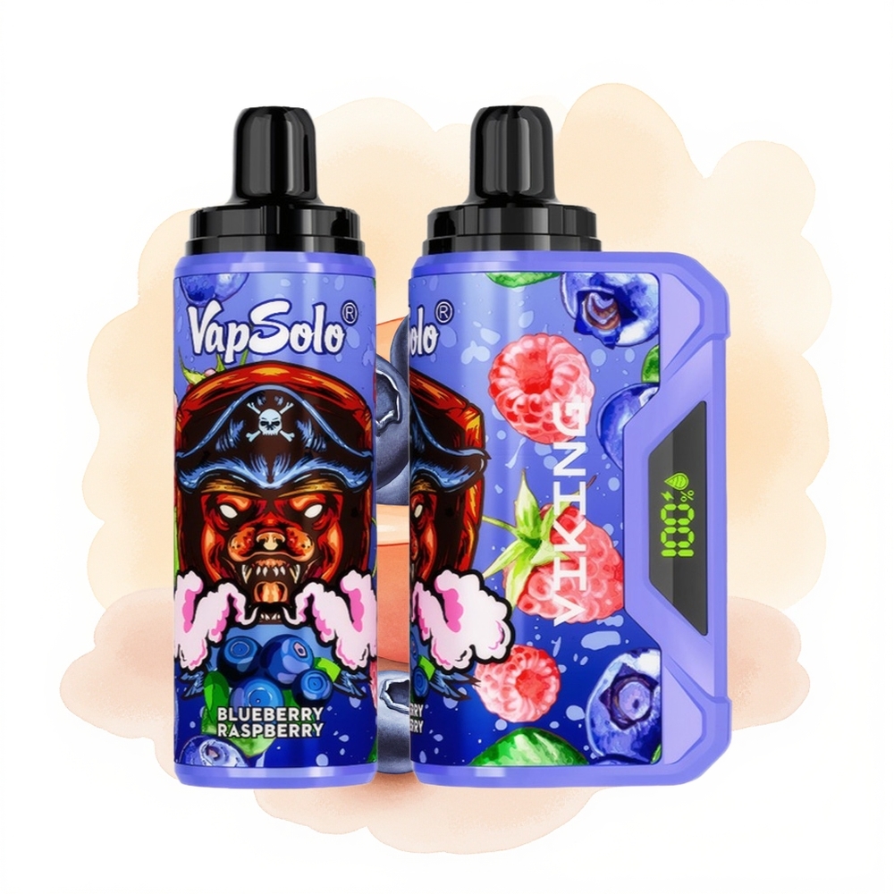 Wholesale Poland VapSolo VIKING 12000 Puffs Type-C Malina Borówka