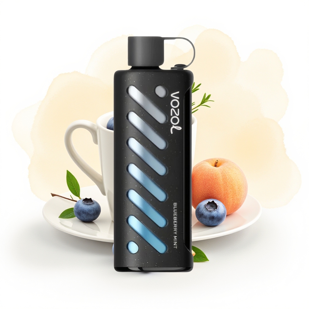 Wholesale Poland VOZOL Gear Shisha 25000 Puffs Dual Mesh Borówka Mięta