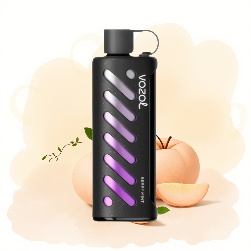 Wholesale Poland VOZOL Gear Shisha 25000 Puffs Dual Mesh Dual Modes Jagoda Mięta