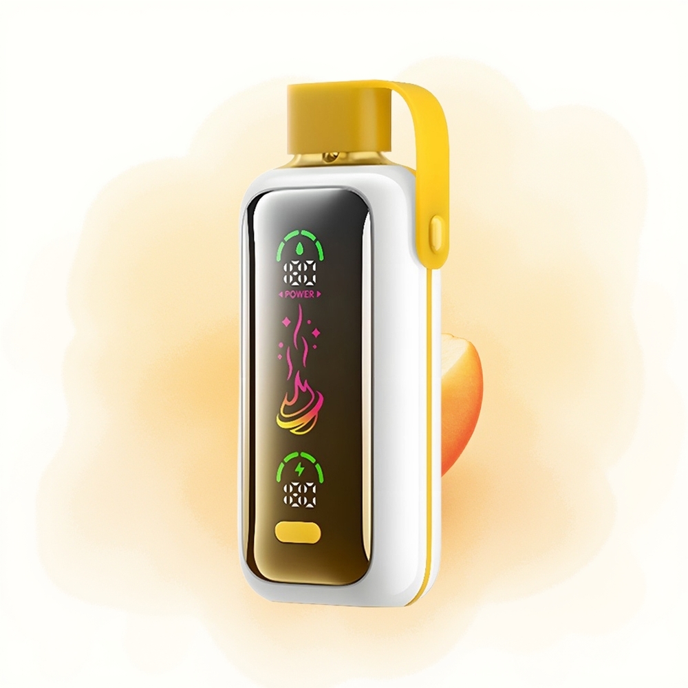 Wholesale Poland VOZOL Star 20000 Puffs Dual Mesh Mango Lód