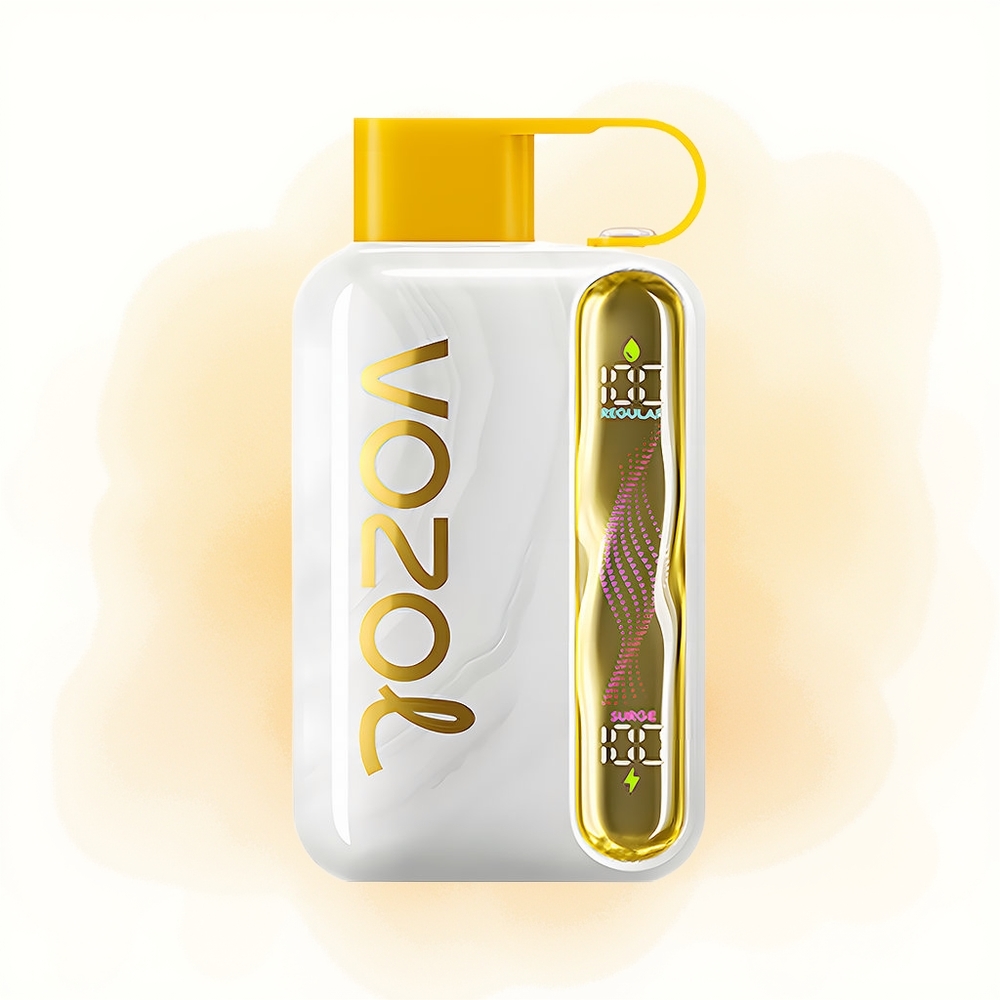 Wholesale Poland VOZOL STAR 40000 Puffs Mango Lód