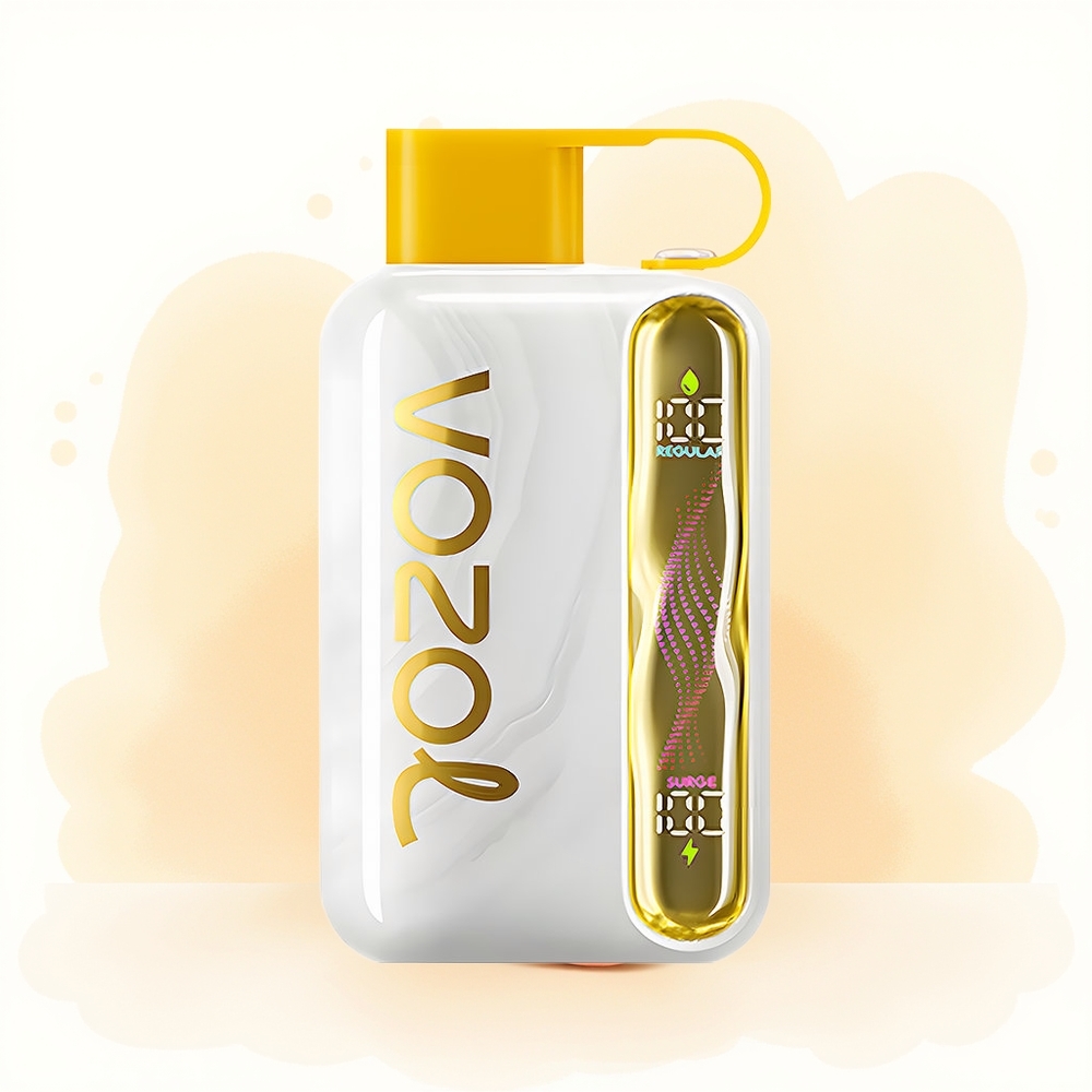 Wholesale Poland VOZOL STAR 40000 Puffs Typ-C Mango Brzoskwinia