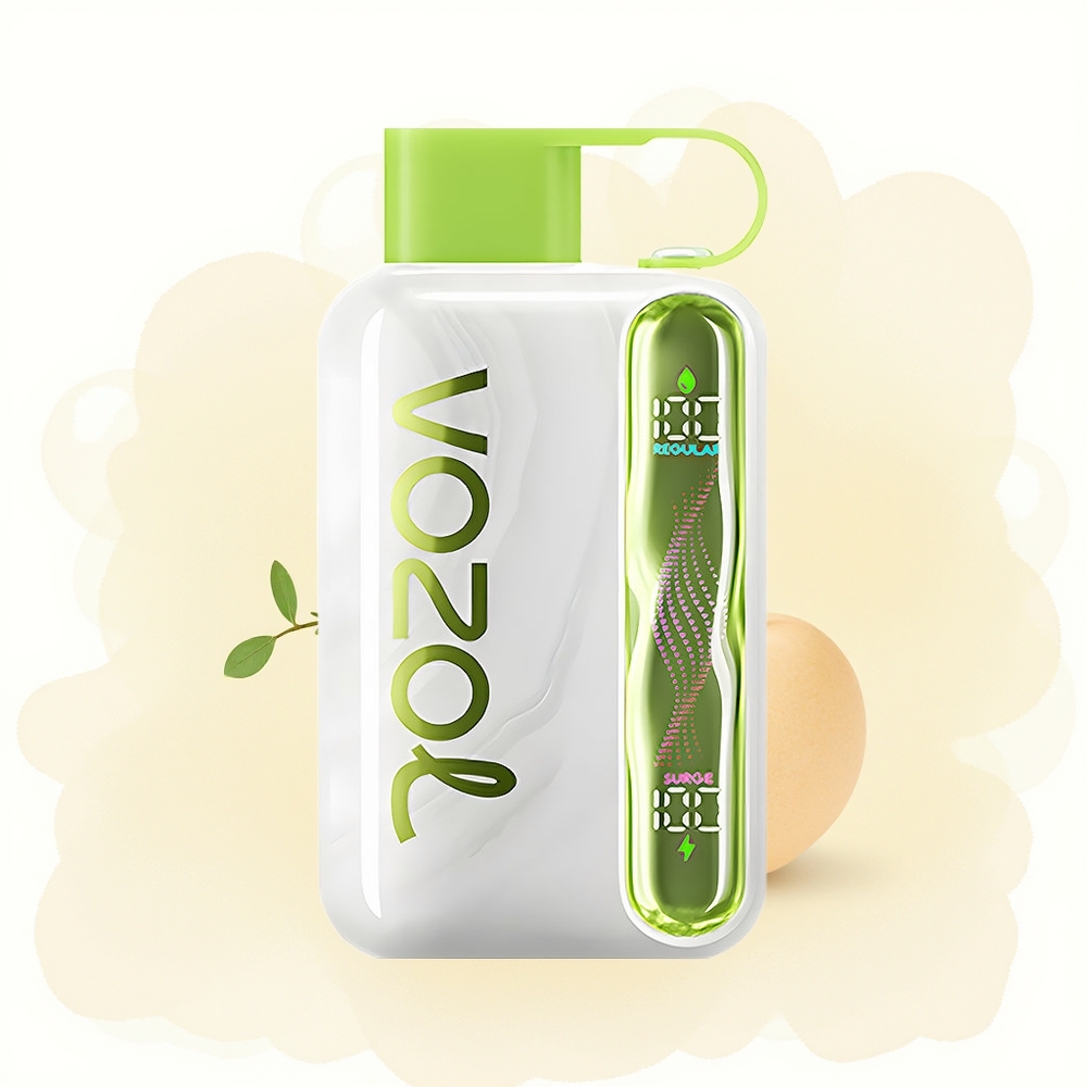 Wholesale Poland VOZOL STAR 40000 Puffs Type-C Miętowa Chłód