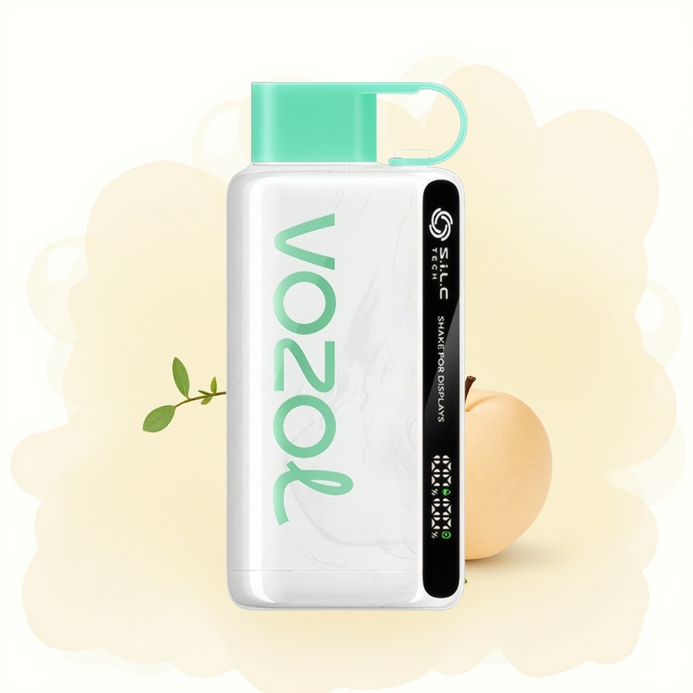 Wholesale Poland VOZOL STAR 9000/12000 Puffs Chłodna Mięta