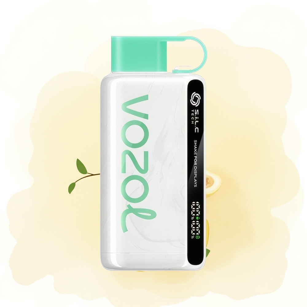 Wholesale Poland VOZOL STAR 9000/12000 Puffs Lemon Mint