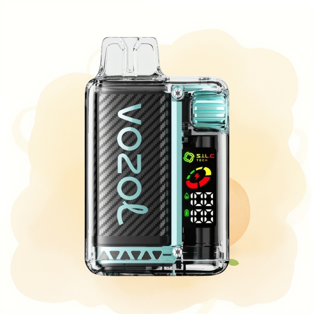 Wholesale Poland VOZOL Vista 20000 Puffs OLED Miami Mięta